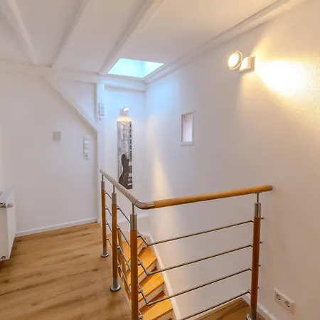 - Cozy And *