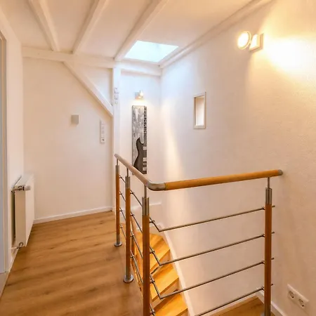 - Cozy And *